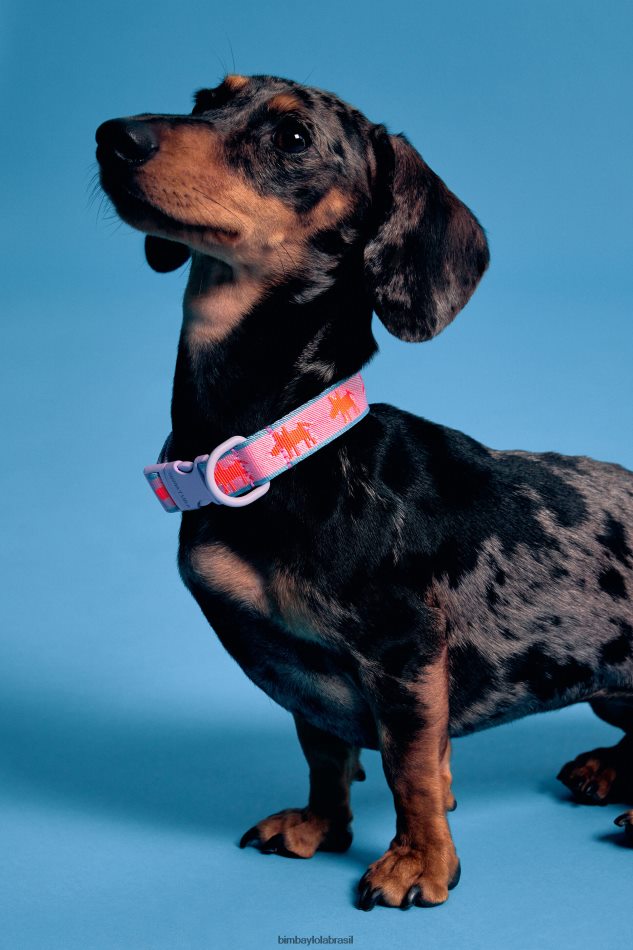 acessórios Bimba Y Lola coleira de animal de estimação logotipo rosa P28JFH964