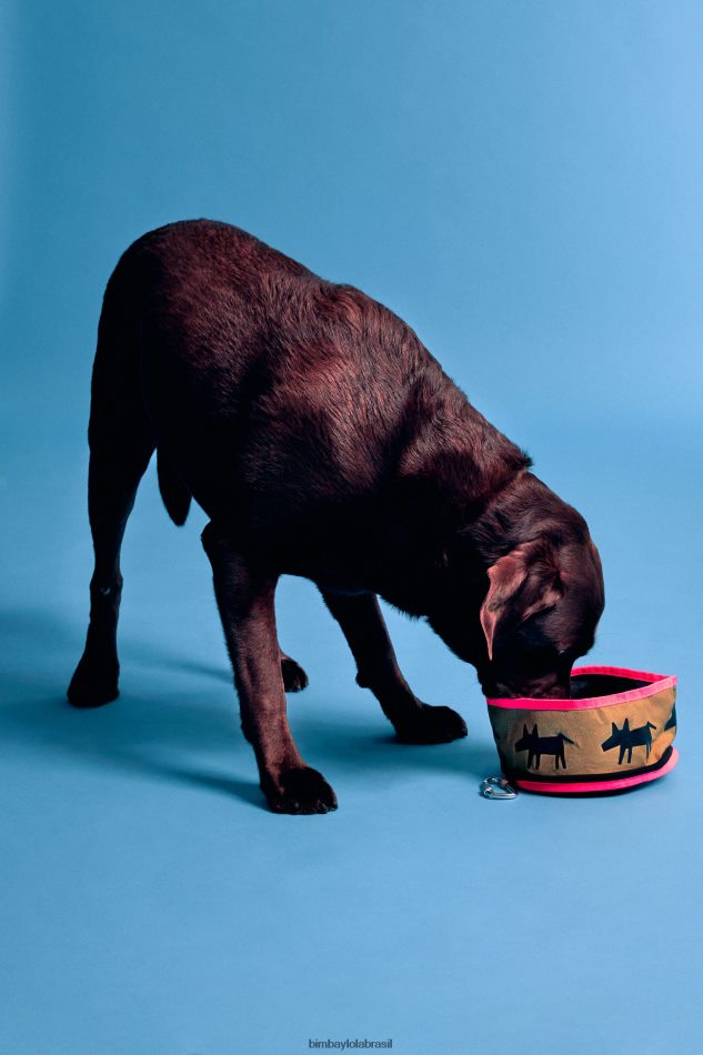 acessórios Bimba Y Lola tigela de água para animais de estimação com logotipo cáqui P28JFH969